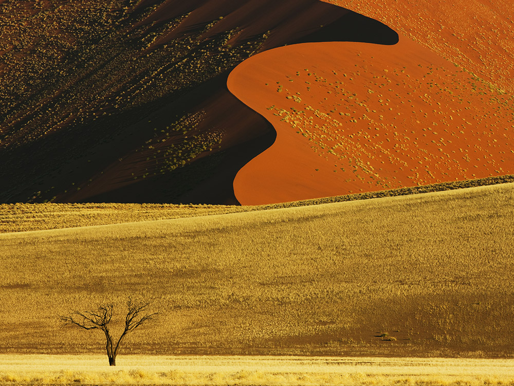 Hot Shot: In the Desert